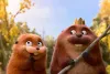 Превью 2