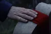Превью 10